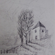 oberrhein 2020  tusche auf papier  20cm x 20 cm  