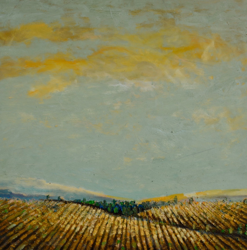 648 k felder iv  2020  x cm  oel auf leinwand