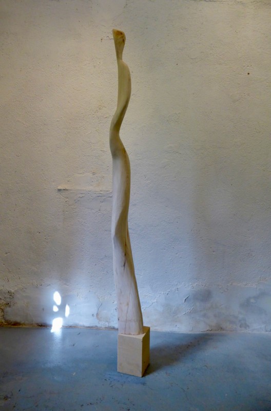 Nike 2011 Bergahorn 205 cm